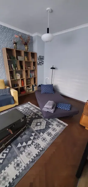 Open sofa bed in living room